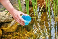 Oase DuoBoost 2 Cm 250 Ml 2-fasenbooster -Professionele winkel voor zwembadartikelen 1268 1900 oase duoboost 2 cm 250 ml 2 fasenbooster 5